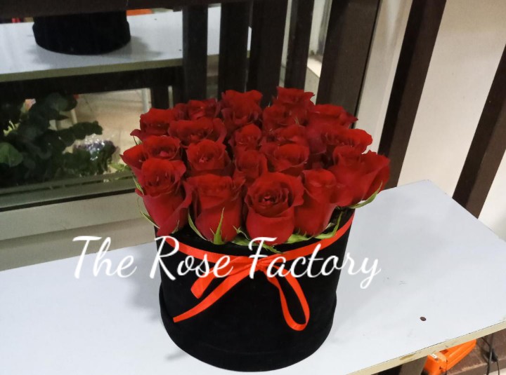 WaterMark_2020-06-29-19-34-55 WaterMark_2020-06-29-19-34-55